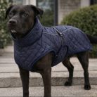 Naradin Kutyakabát - FrostyFit (L)