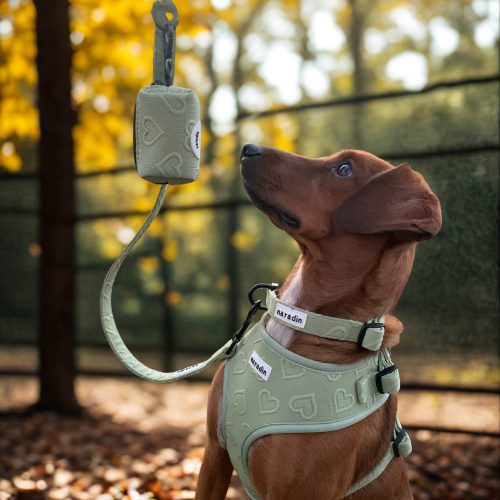 Naradin állítható kutyanyakörv - MintyLove (XS)