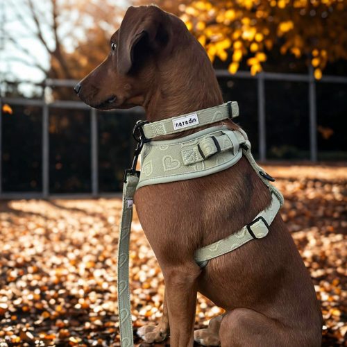 Naradin kutyapóráz - MintyLove (S)