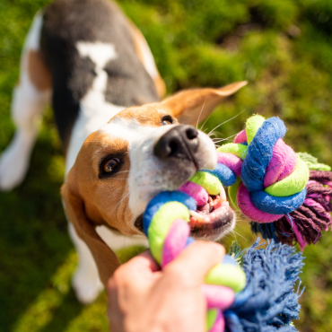 Miért fontos a közös játék már kiskortól?